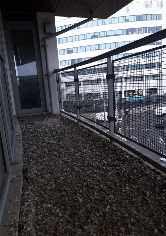 Balcony covered in poo