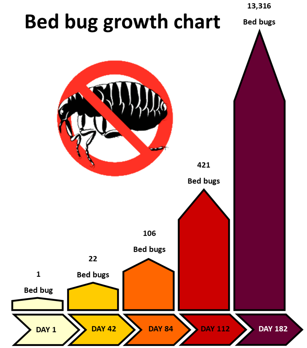 Bed bug reproduction chart